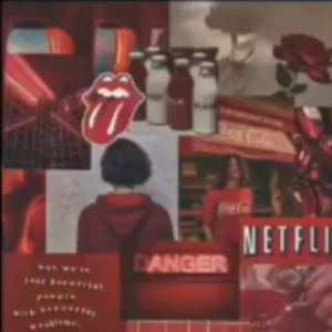 Meet your Posher, Aanchal